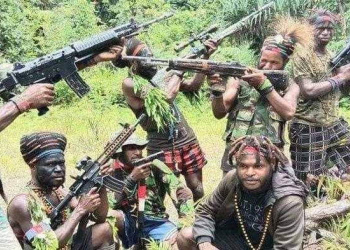 Mengejutkan! Dua Warga Negara Australia Diduga Jadi Pemasok Senjata untuk KKB Papua