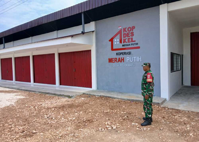 1.550 Calon Manajer Koperasi Merah Putih Minta Penawaran Ulang Penempatan Kerja