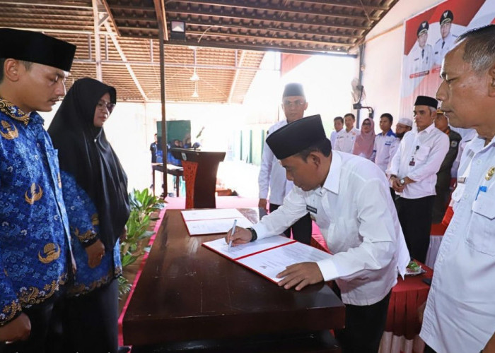 232 PPPK Resmi Diangkat di Sumbawa Barat, Bupati: Jangan Sampai Menyesal!