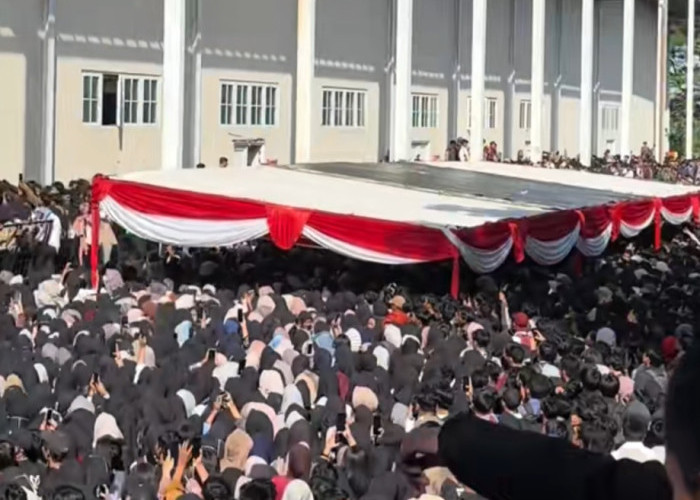 Job Fair Cuma Formalitas? HRD Bongkar Realita, Wamenaker Murka : Pecat Saja 