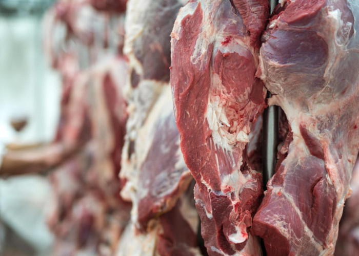 Ingin Daging Kurban Tetap Empuk dan Bernutrisi? Ini Saran Ahli