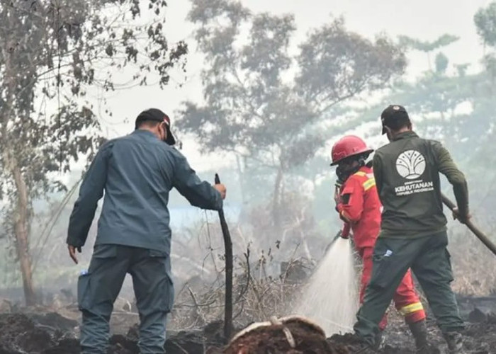 Karhutla Belum Padam Sejak Agustus, Pemerintah Kerahkan Satgas Darat dan Udara