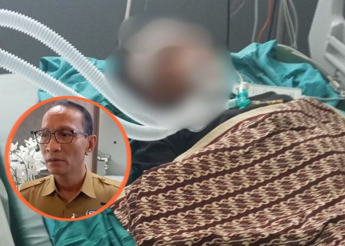 Tiga Remaja Kritis Diduga Dibacok di Udayana, Mohan Minta Polisi Ungkap Pelaku