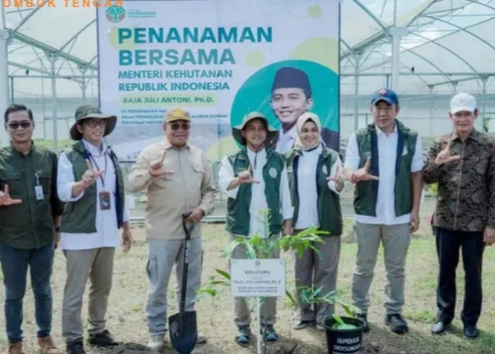 Lombok Tengah Disulap Jadi Paru-Paru NTB, 5 Juta Bibit Siap Tanam