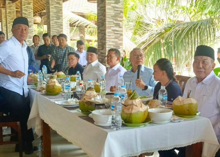 Zulhas Tunjuk Mendag Budi Santoso Pimpin PAN NTB, Gantikan LAZ