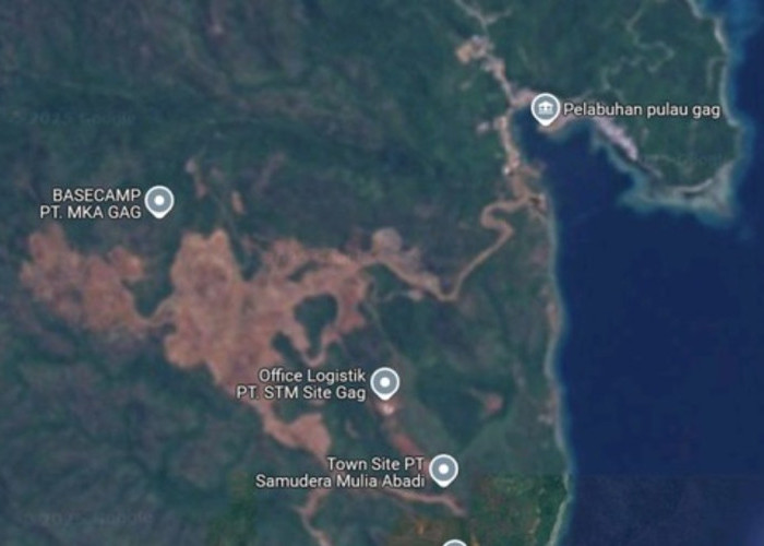 Intip Profil 5 Perusahaan Tambang Nikel di Raja Ampat, Salah Satu dari Asing!