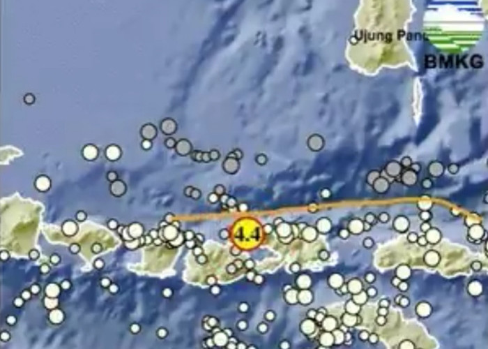 BMKG: Gempa Magnitudo 4,4 Guncang Timur Laut Sumbawa