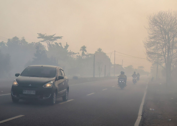 6 Cara Cek Kualitas Udara Indonesia di Tengah Kasus Karhutla yang Makin Meluas