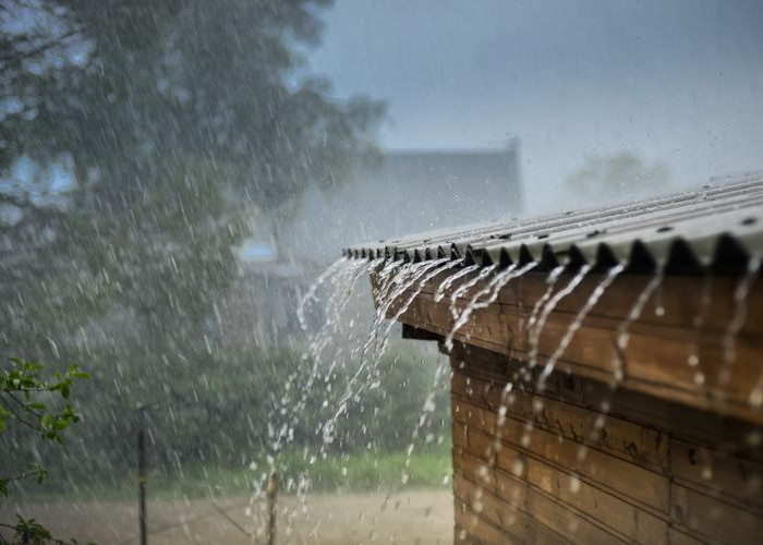 La Nina Mulai Terlihat, BMKG Prediksi Hujan Lebat Hingga Februari 2026