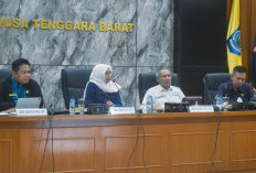 Stunting NTB Masih Jadi PR Besar, Pemprov Perkuat Intervensi di Daerah