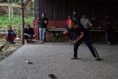 Permainan Gasing, Penyambung Silaturahmi Warga di Bawah Kaki Gunung Rinjani