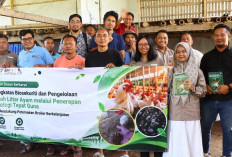 Dosen UB Dorong Peternak Ayam Broiler di Lombok Terapkan Biosekuriti dan Olah Limbah