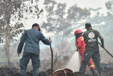 Karhutla Belum Padam Sejak Agustus, Pemerintah Kerahkan Satgas Darat dan Udara