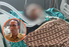Tiga Remaja Kritis Diduga Dibacok di Udayana, Mohan Minta Polisi Ungkap Pelaku