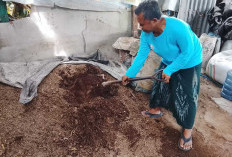 Mengubah Sampah Menjadi Pupuk dan Rupiah