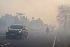 6 Cara Cek Kualitas Udara Indonesia di Tengah Kasus Karhutla yang Makin Meluas
