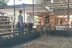 Aduan 110, Polisi Bubarkan Sabung Ayam di Cakranegara